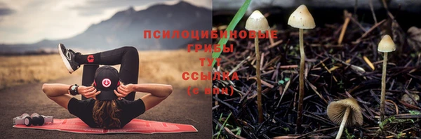 ALPHA PVP Михайлов